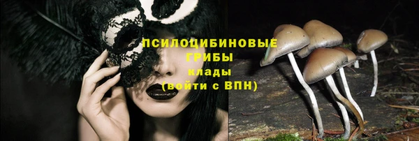 сатива Покачи