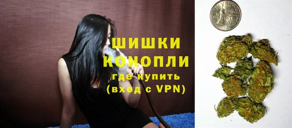 сатива Покачи