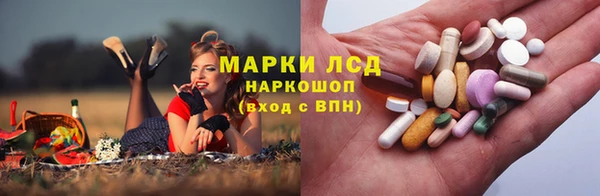 сатива Покачи