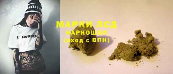 сатива Покачи