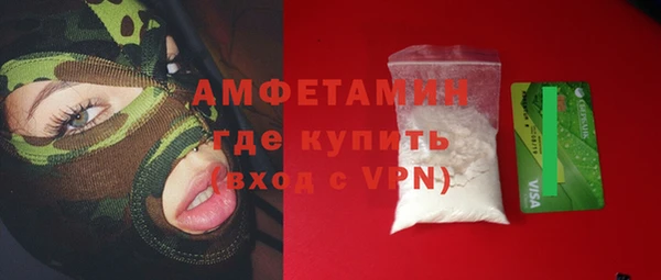 сатива Покачи