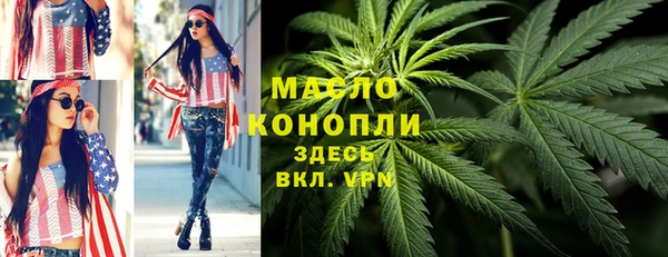 сатива Покачи