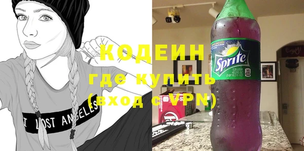сатива Покачи